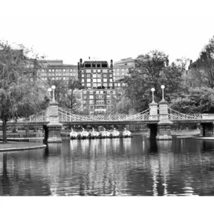 Swan Boats 24x60 BW ptif