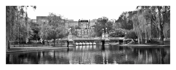 Swan Boats 24x60 BW ptif