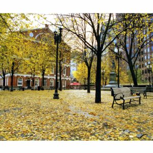 Faneuil Hall fall 24 x 30 copy scaled