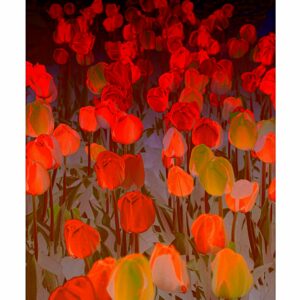 Tulips Orange Surrealism 24 x 30 copy scaled