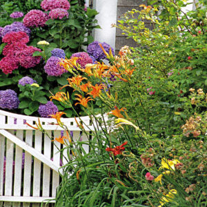 Nantucket Sconset