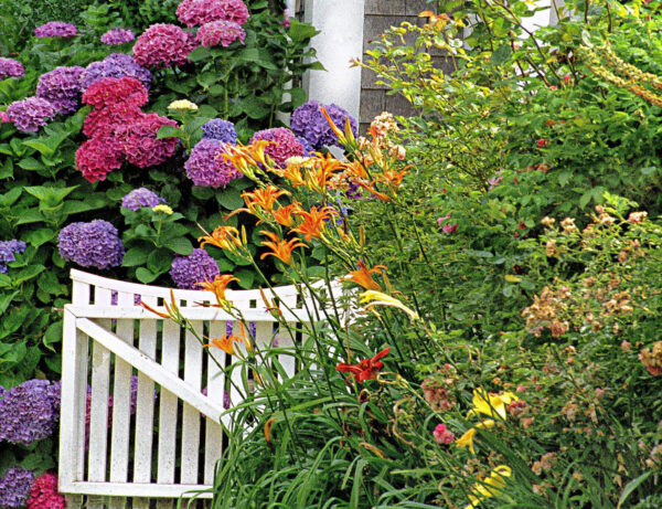 Nantucket Sconset