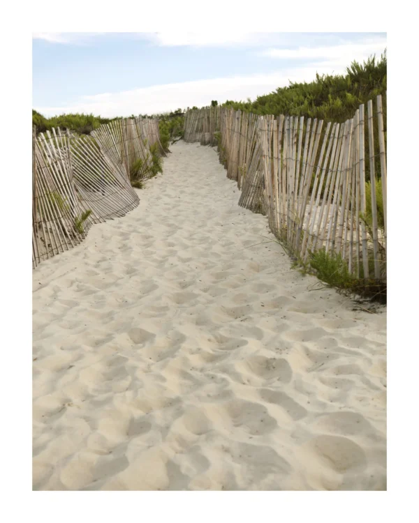 Beach Walkway