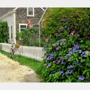 Bicycle at Rest NANTUCKET