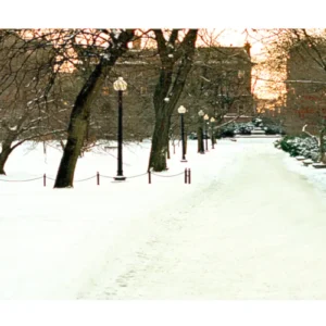 Boston Common by Twilight