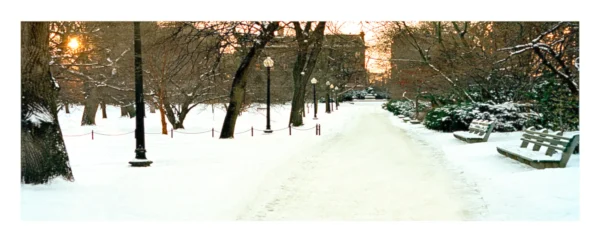 Boston Common by Twilight