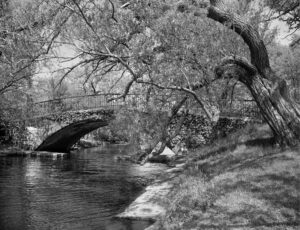 Esplanade Bridge Boston