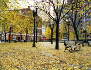 Faneuil Hall Fall