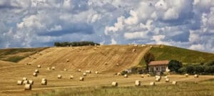 On the Way to Campobasso