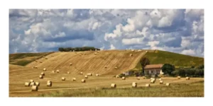 On the Way to Campobasso