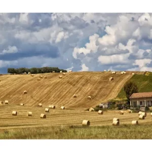 On the Way to Campobasso