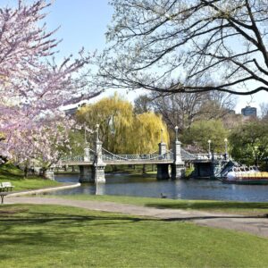 Spring Haffenreffer