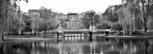 Swan Boats Panoramic Print