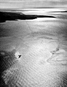 Flight of the Phoenix