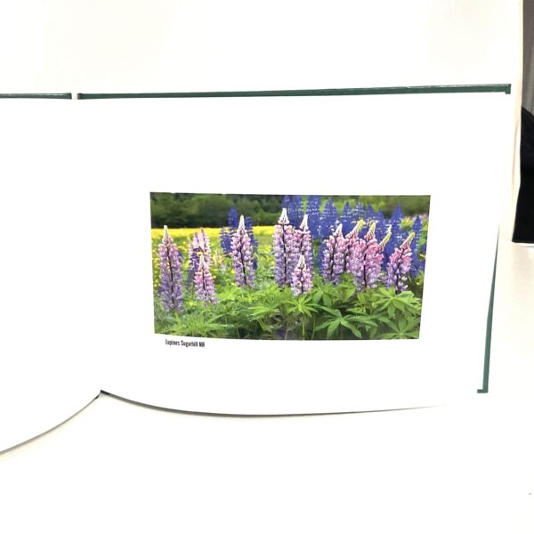 Album Book - Image 2