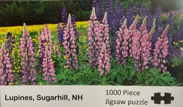 LUPINES Puzzles - Image 2