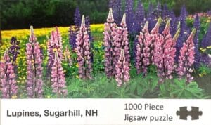 LUPINES Puzzles