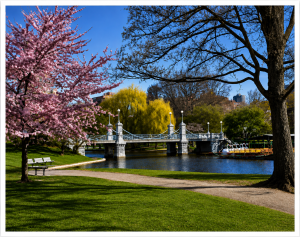 public garden haffenreffer bridge boston ma