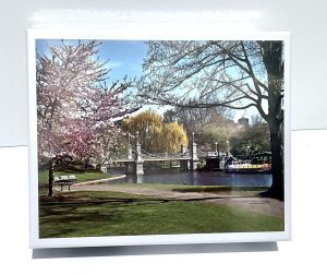public garden haffenreffer bridge boston ma